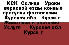 КСК “Солнце“. Уроки верховой езды,конные прогулки,фотосессии.  - Курская обл., Курск г. Животные и растения » Услуги   . Курская обл.,Курск г.